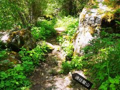 -青峰峡国家森林公园