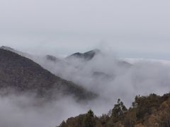 -驼梁风景区