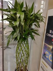 -悟空祛痘·诺奖技术专业店