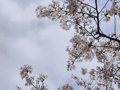 -上海市静安区闸北中心医院