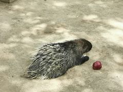 -青藏高原野生动物园