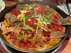 -老板恋上鱼(振华商厦店)