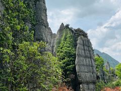 -山王坪喀斯特国家生态公园