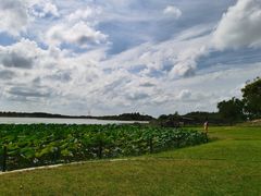 -东滩湿地公园观海楼餐厅