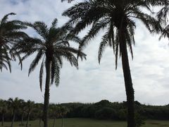 -鹅銮鼻公园