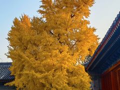 -承恩寺