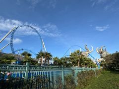 游乐设施-七彩云南欢乐世界