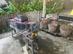 -大象粑粑造纸公园