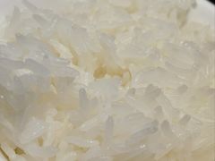 -聚鑫朋酸菜肥肠(文艺路口店)