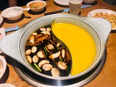 -青瓷火锅料理(西单大悦城店)