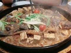 -老板恋上鱼(印象城店)