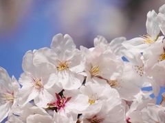 -永乐路-路侧停车场