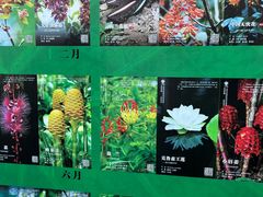 -中国科学院西双版纳热带植物园