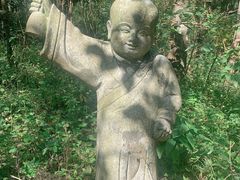 -武陵山森林公园