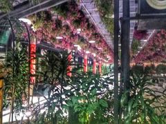 -天宫南铂玫瑰园酒店