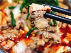 -古乐牛香·鲜牛肉牛杂火锅(千灯店)
