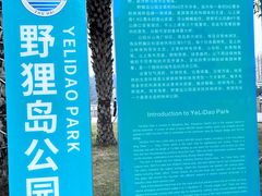 -野狸岛