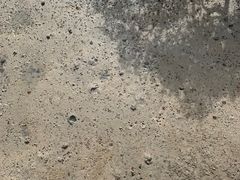 -北海金海湾红树林生态旅游区