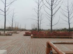 -汉长安城未央宫国家考古遗址公园