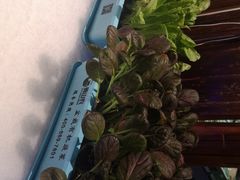 -野山舂·贵州现舂酸汤火锅(鸿通城店)