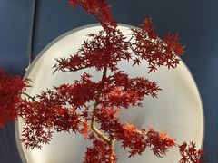 -金狮麟·新豫菜(杏石口路店)