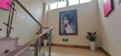 点击看大图 -青岛诺德医学美容医院