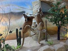 -西霞口神雕山野生动物世界