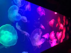 -成都浩海立方海洋公园