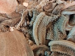 -大戚饭店(泰华路店)