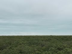 -北海金海湾红树林生态旅游区