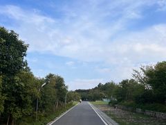-树山生态村