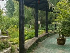 -合肥滨湖国家森林公园