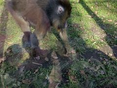 -哈尔滨北方森林动物园