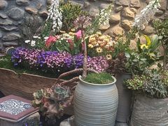 -尽善百年古院餐厅(王家老宅店)