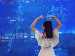 -成都浩海立方海洋公园