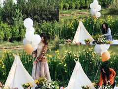 -白鹭湾湿地公园