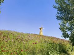 -鄂尔多斯野生动物园