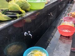 -春花秋色城市公园