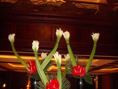 -上海瑞金洲际酒店