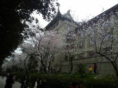 -武汉大学-樱园