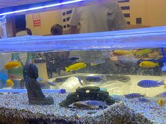 -水碾河刘老大串串香(水碾河路店)