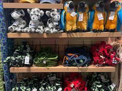 -美国自然历史博物馆