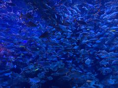 -成都浩海立方海洋公园