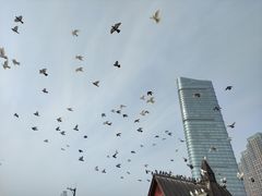-星海广场
