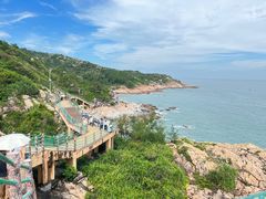 -广东惠东海龟国家级自然保护区