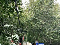-复旦大学附属华山医院(总院)
