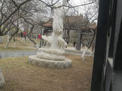 -桃花堤公园