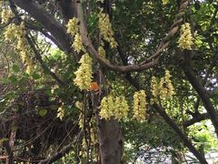 -华南国家植物园-售票处