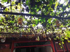 -厉家菜(金宝街店)