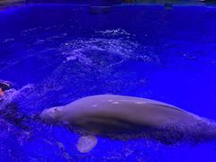 -海合安青岛极地海洋公园